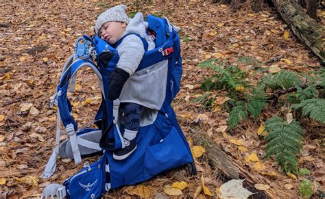 Osprey Poco Plus Child Hiking Carrier Long.